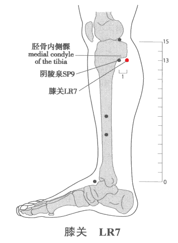 膝關穴位圖