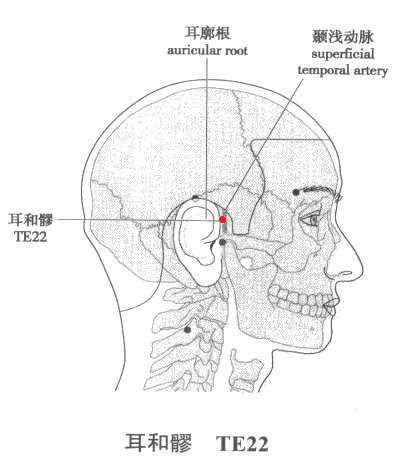 耳和髎穴位圖