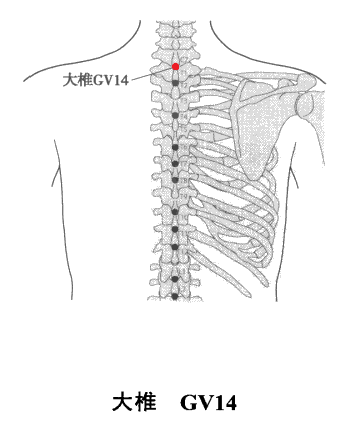 大椎穴位圖