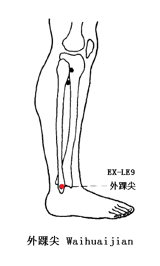 外踝尖穴位圖